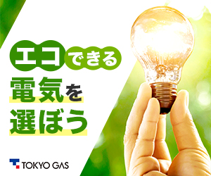 1000pt→〈5000pt〉東京ガス【さすてな電気】申込モニター