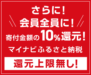 Amazonギフト券10%還元【マイナビふるさと納税】